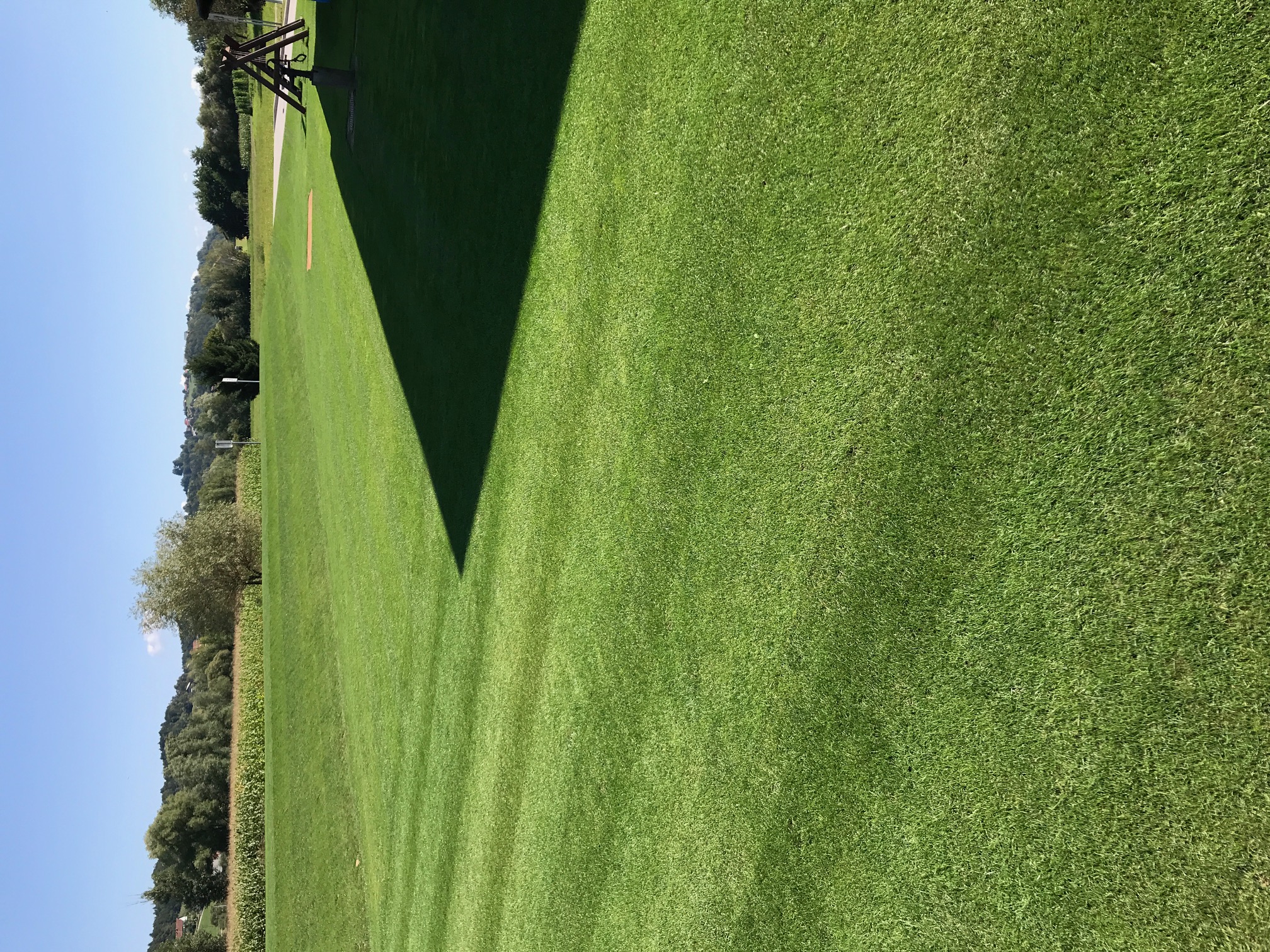 image6.jpeg