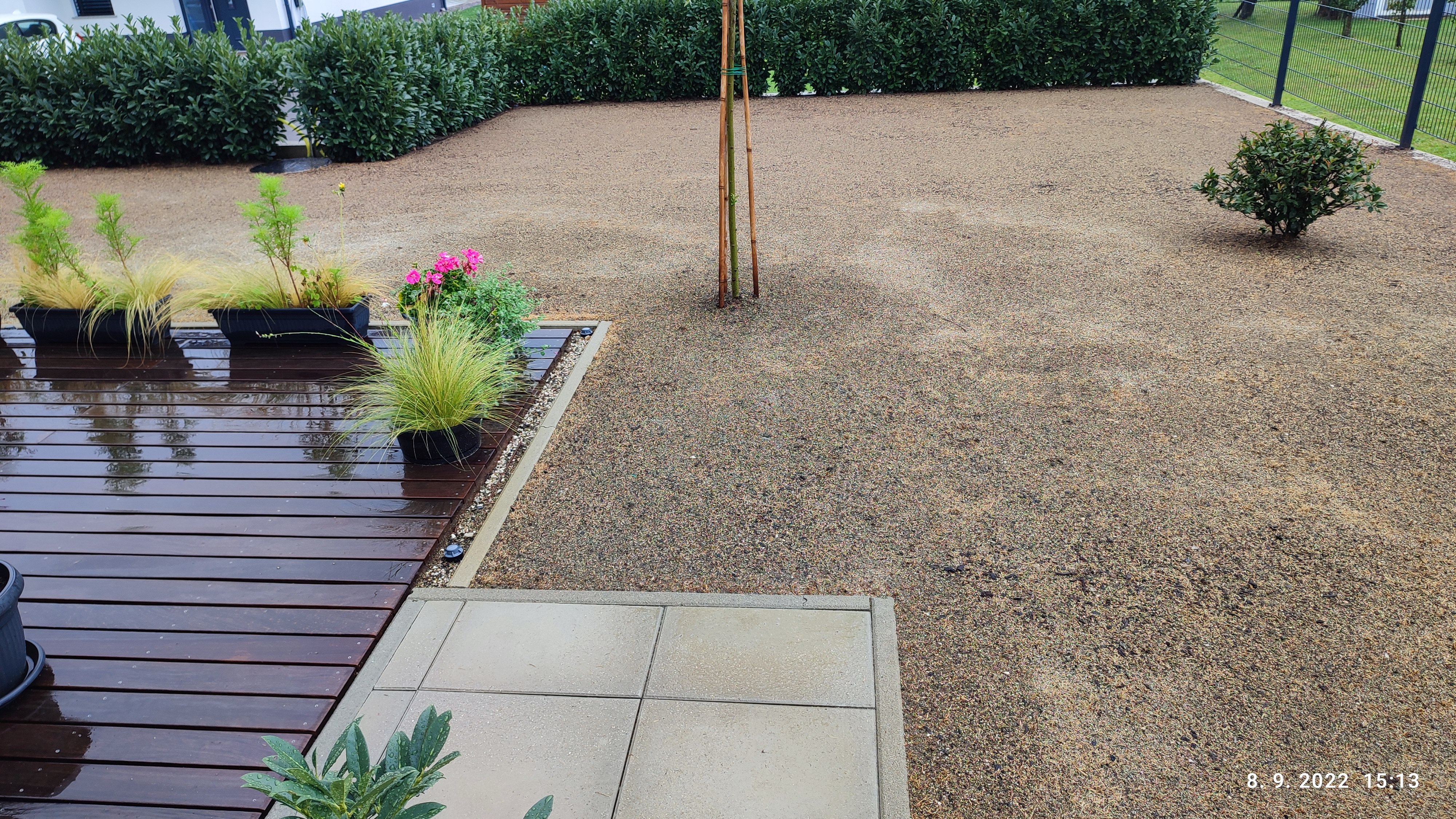 Današnji dež je prepojil zemljo