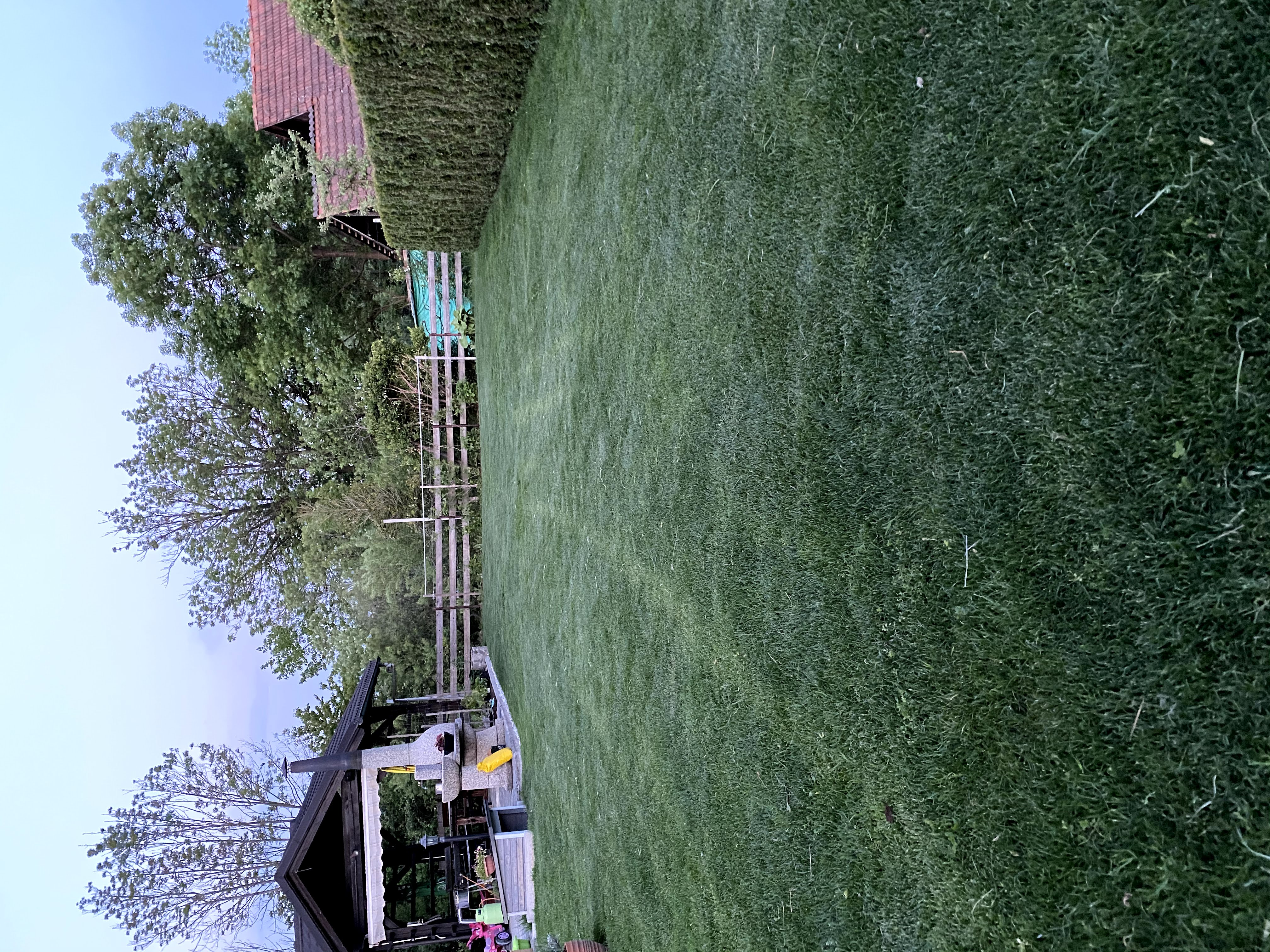 IMG_6397.jpg