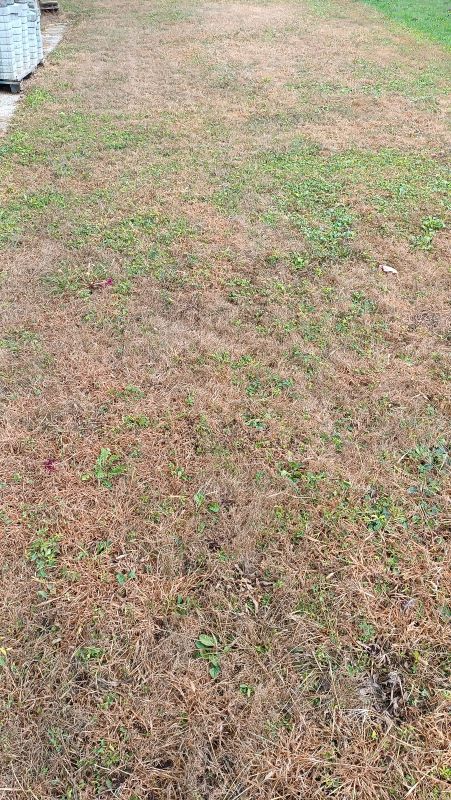 14 dni po tretiranju 2