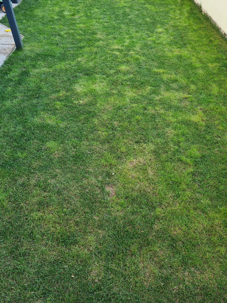 20240412_172459 (1).jpg