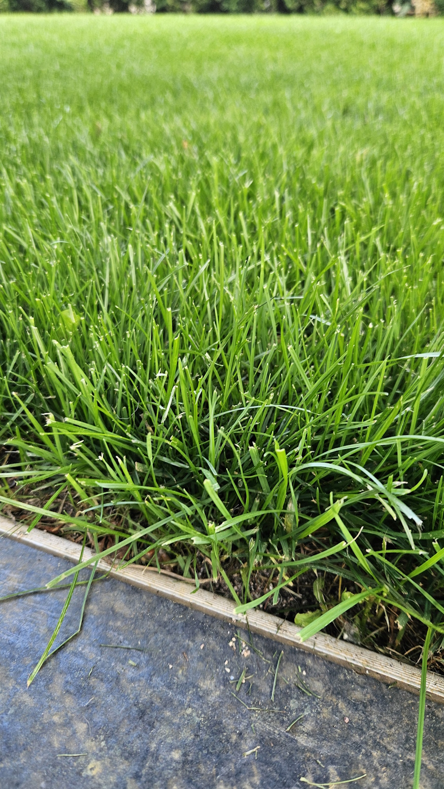 10_5_2025 jug od blizu.jpg