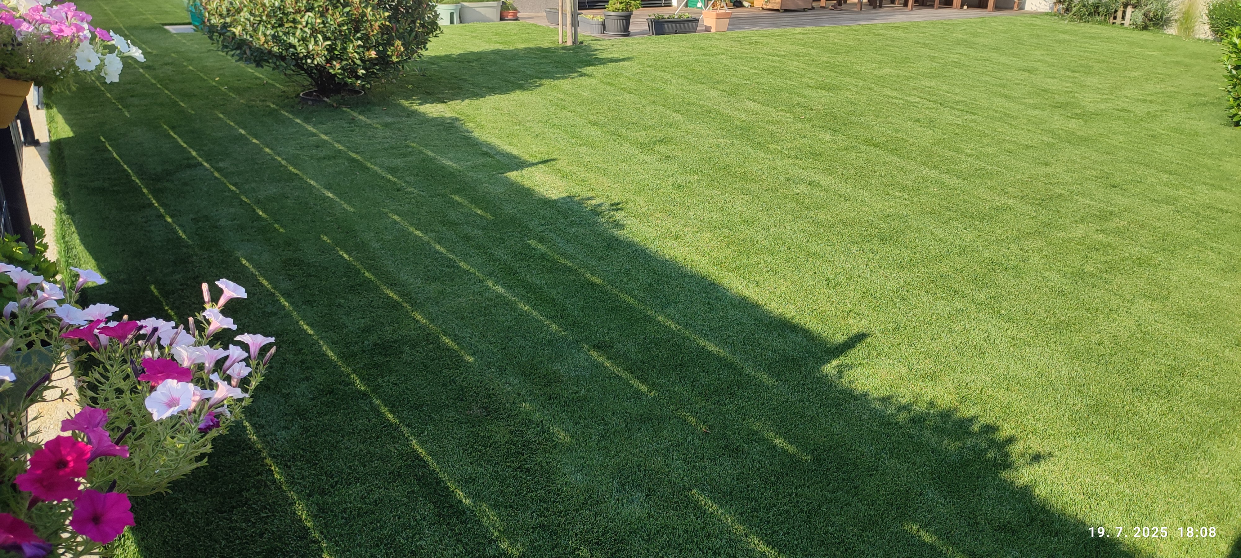 Pred skarifikacijo, 3.5 cm