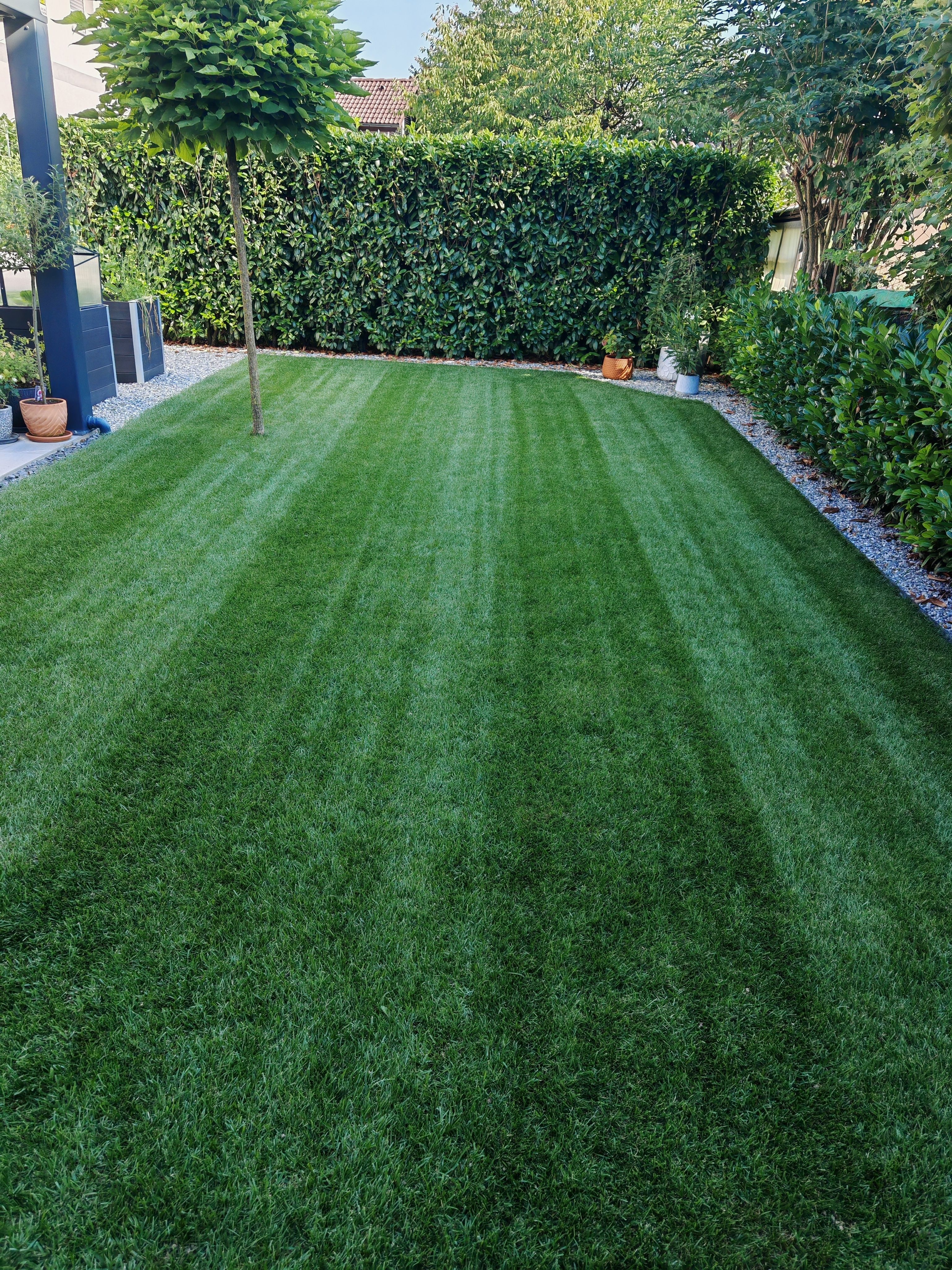 IMG_20250812_171319 (1).jpg