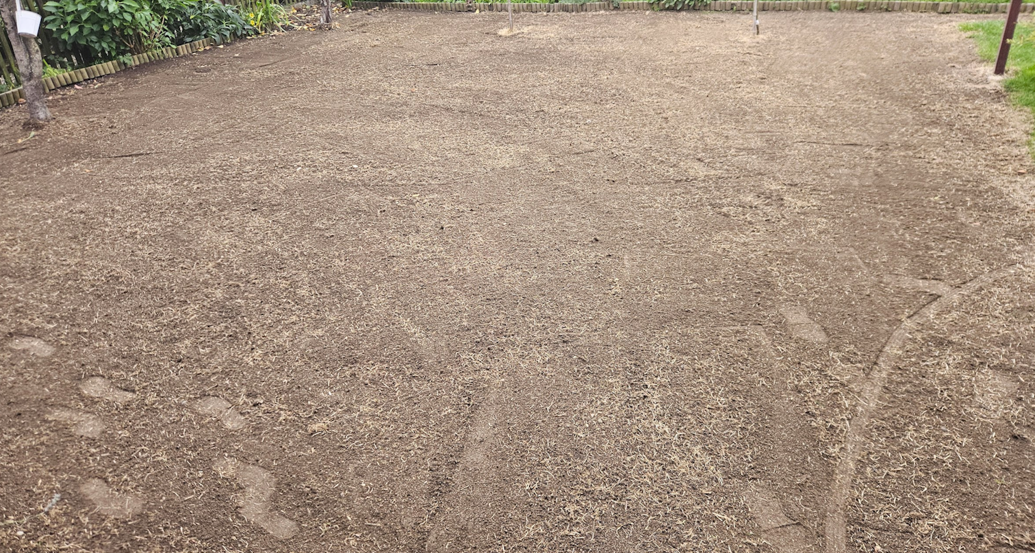 rahljalnik in gladilka1.png