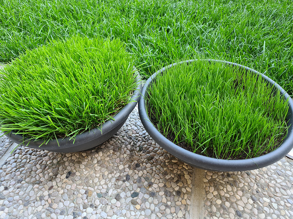 20210627_181130.jpg