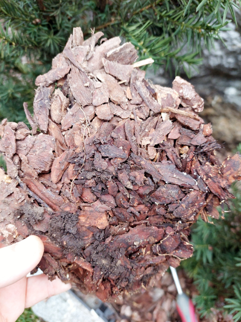 sprijeto lubje 2.png