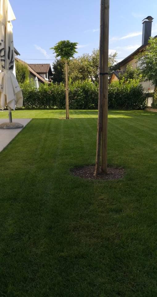 Takole pa upam da bom imel poleti