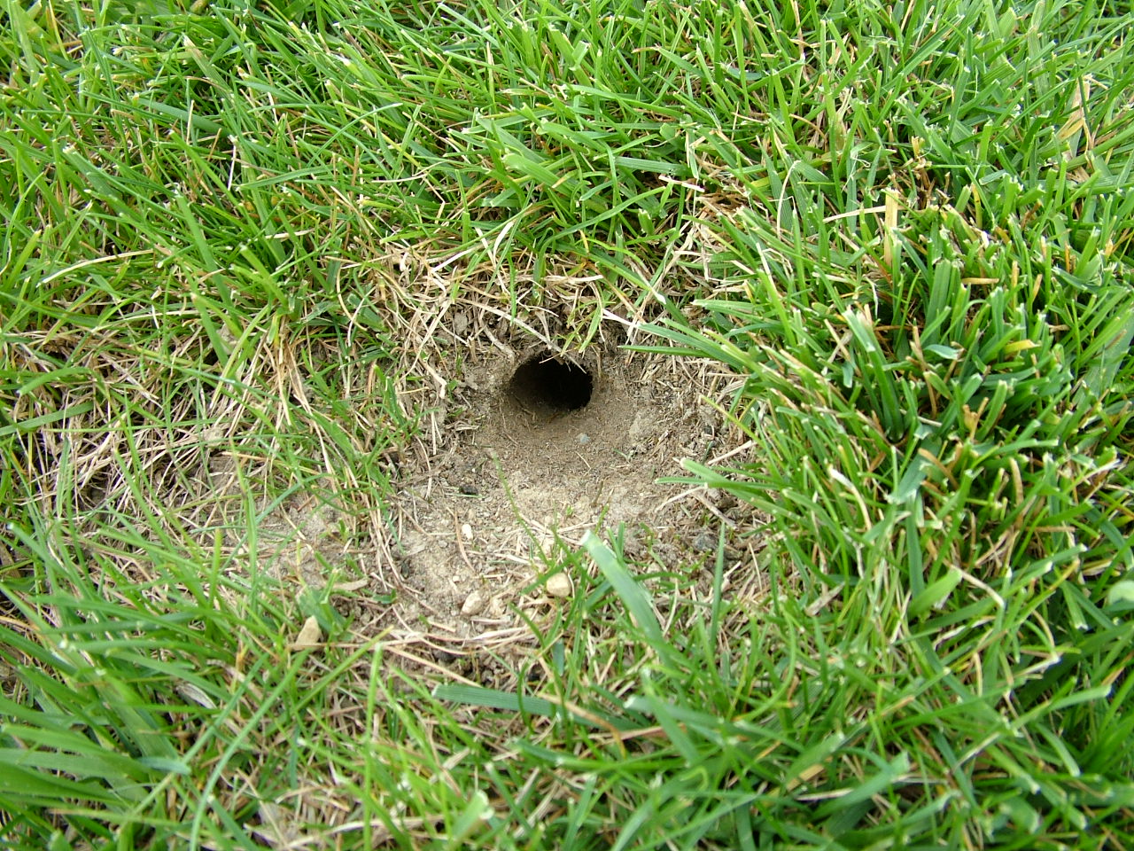 DSCF8688.JPG