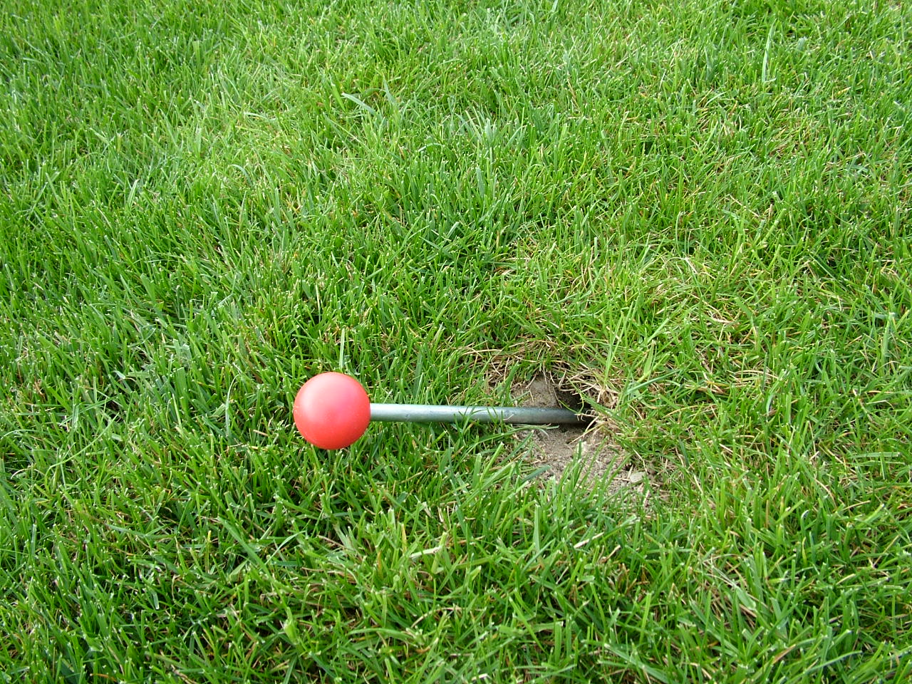 DSCF8686.JPG