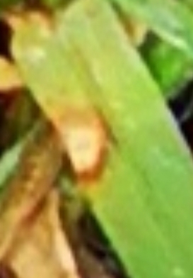 Screenshot_20220513-211433_SamsungInternet_copy_273x392.jpg