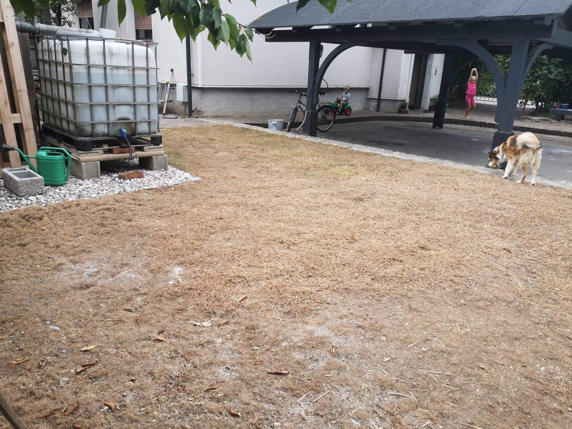 received_506193571331512.jpeg