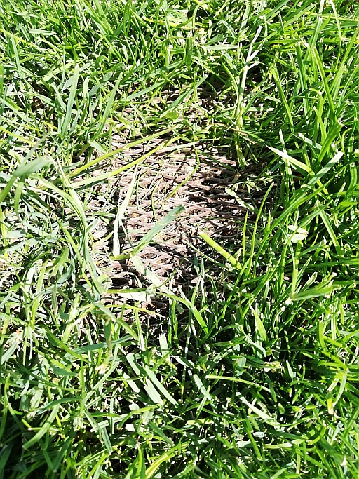 travna rešetka za robotsko kosilnico.jpg