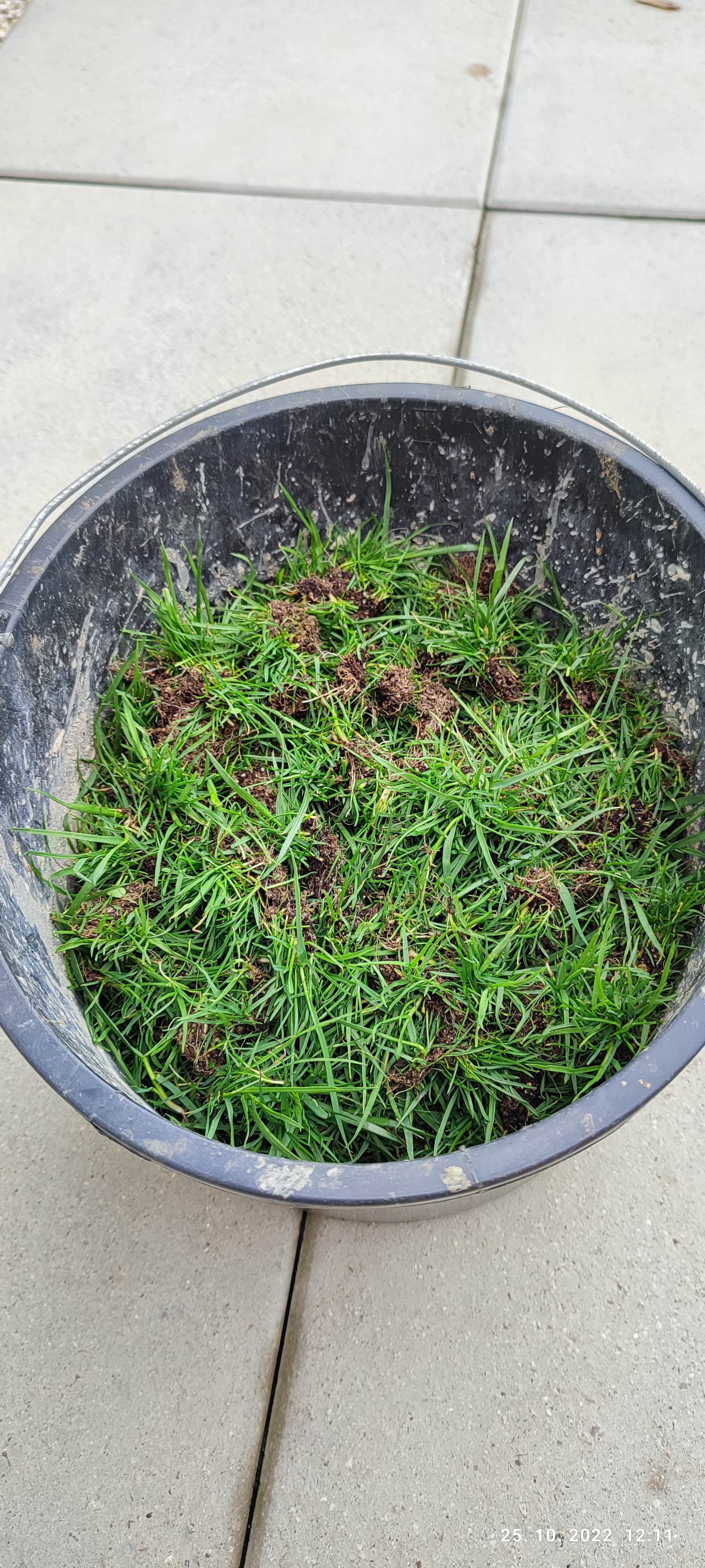 Ogromno "plevela"